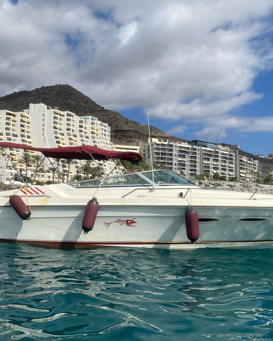 🚤 ¡EN VENTA: SEA RAY BOATS! 🚤