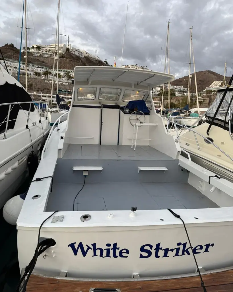 483556085_640639358759816_7187614335703086260_n