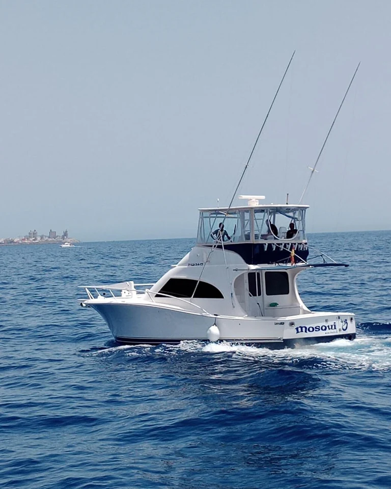 483877323_639080995582319_4280832325678369386_n