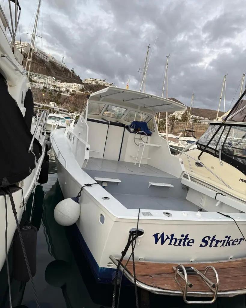 484176650_640639365426482_4066045962165370236_n_cb394c73-8357-4444-9533-116c31456745 (1)