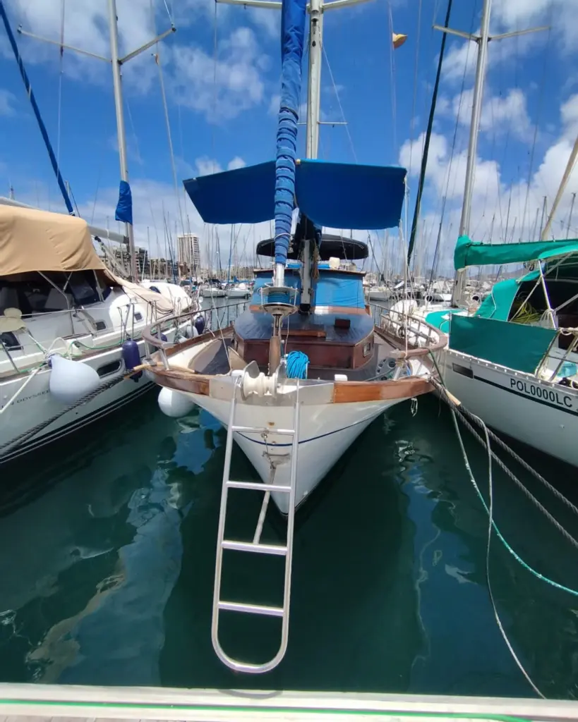 494747119_683952444428507_6296051970254436578_n (1)