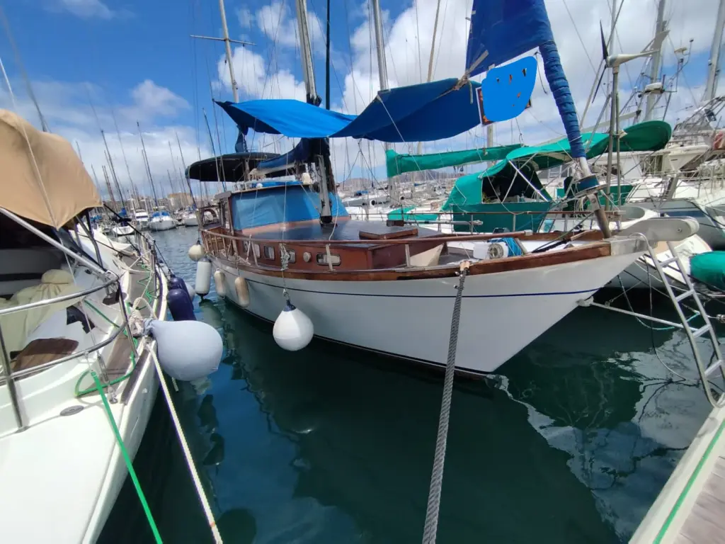 495173091_683951281095290_5721076695265938648_n (1)