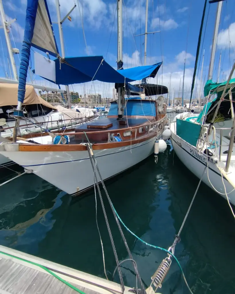 495330510_683954137761671_7800748223997746500_n (2)