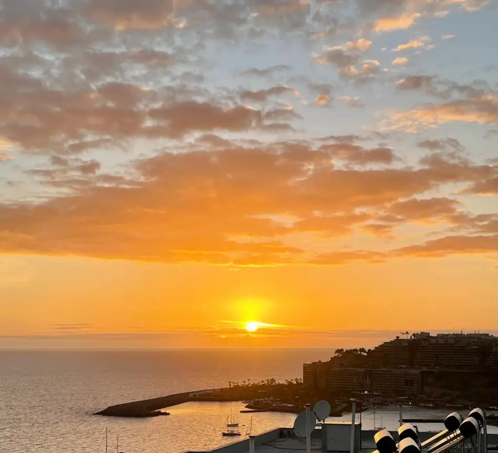 WhatsApp_Image_2025-05-14_at_13.29.40_1