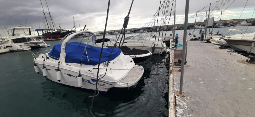 WhatsApp Image 2025-09-26 at 13.08.52 (2)