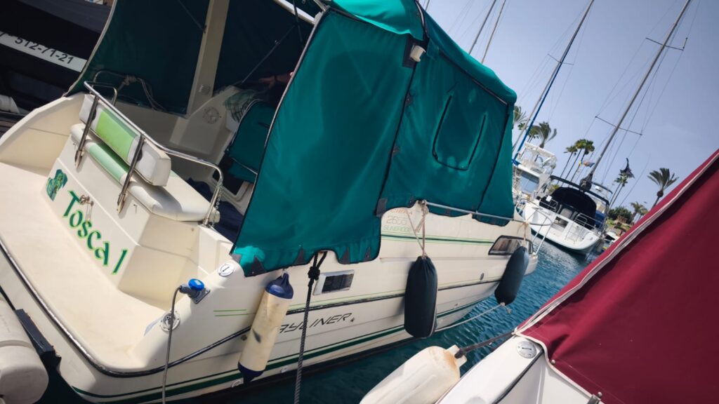 WhatsApp Image 2025-09-29 at 19.52.03