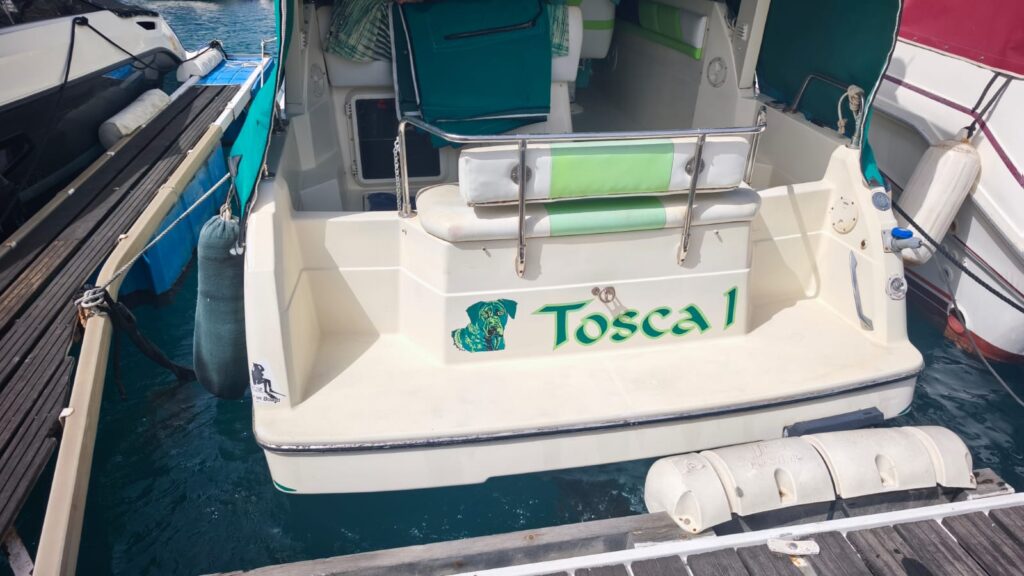 WhatsApp Image 2025-09-29 at 19.52.04 (1)