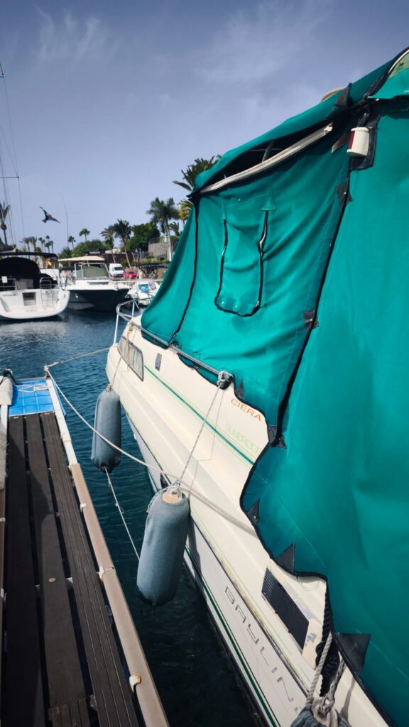 WhatsApp Image 2025-09-29 at 19.52.05