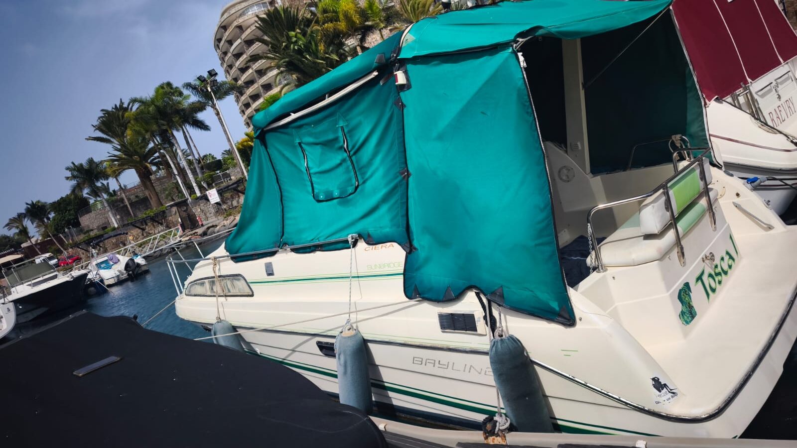 WhatsApp Image 2025-09-29 at 19.52.06