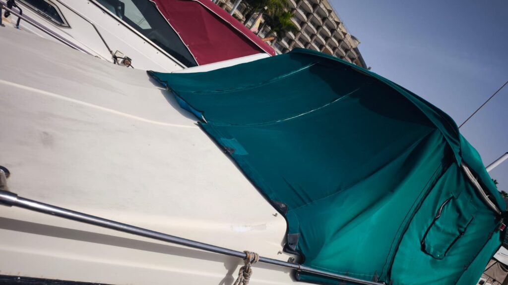 WhatsApp Image 2025-09-29 at 19.52.07 (1)